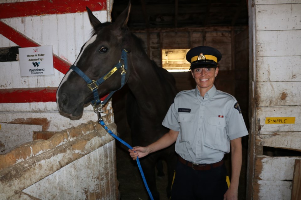 RCMP musical ride 