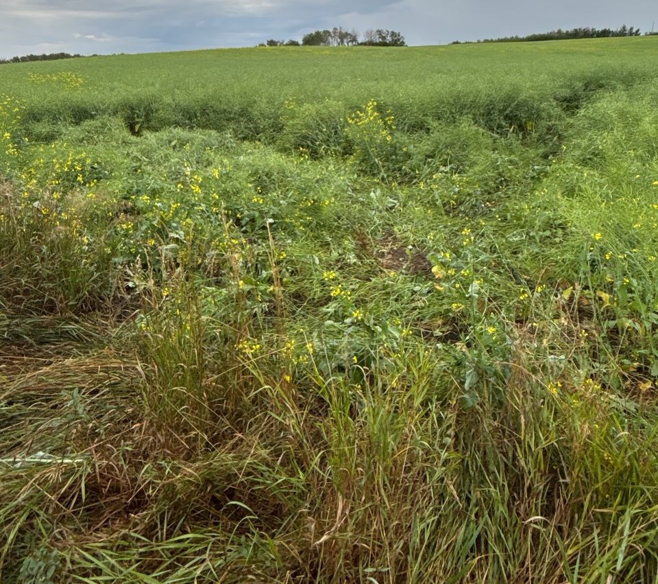 map-sasktip-0