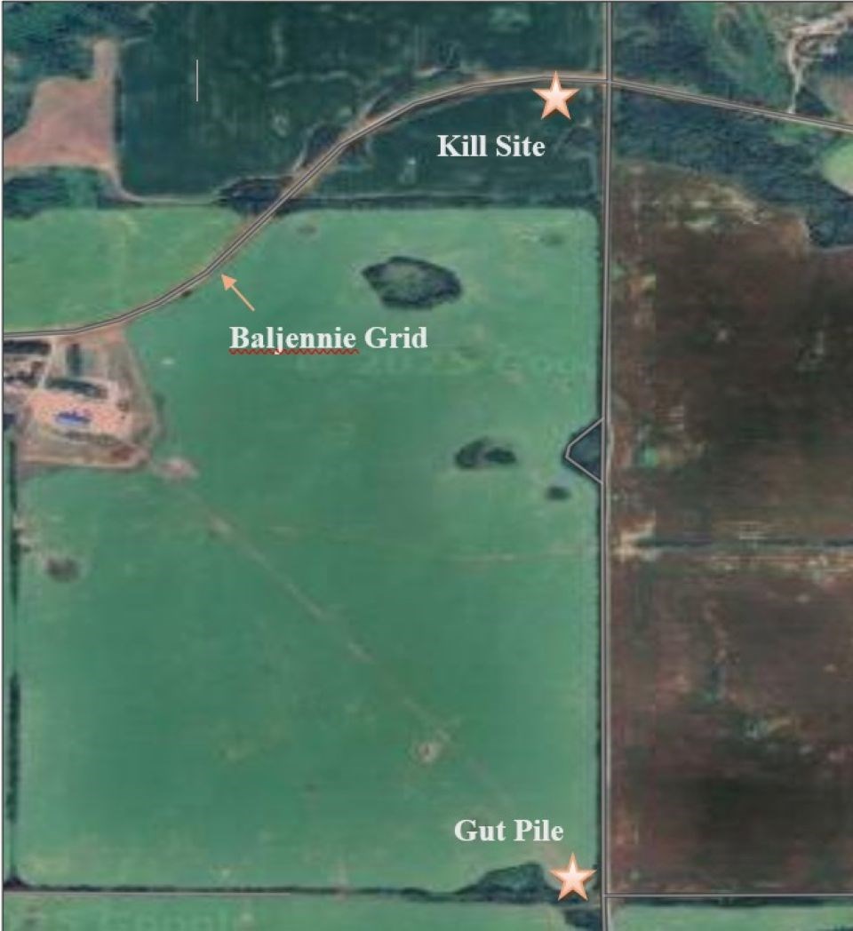 map-sasktip-aug-15