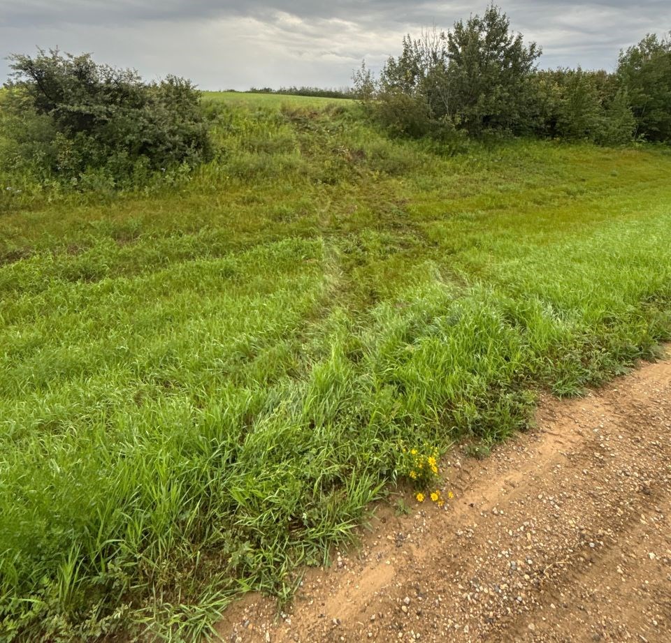 sasktip-aug-15-1