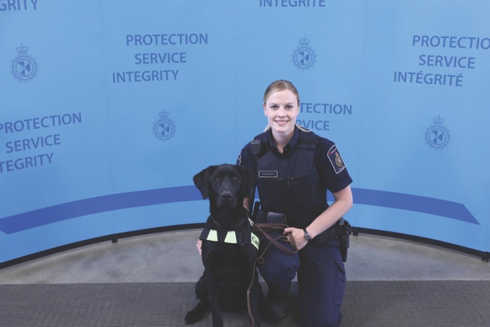 Sherese Tardif-Cress with her partner, detector dog Chase. Tardif-Cress, who is an officer with the Canada Border Services Agency, was recently selected for a provincial award. 