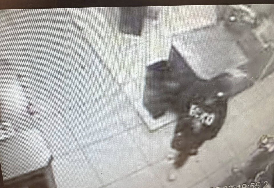 tim-hortons-theft-2025-1