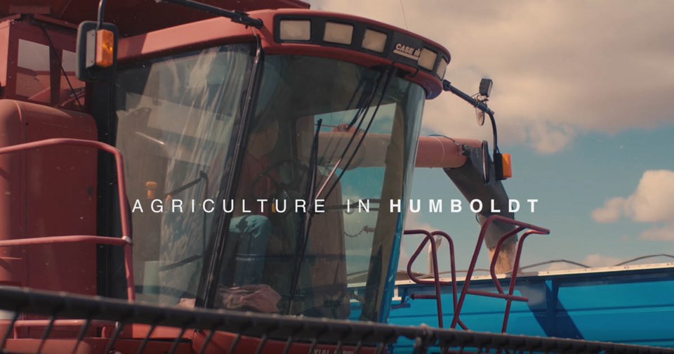 Humboldt Video Ag