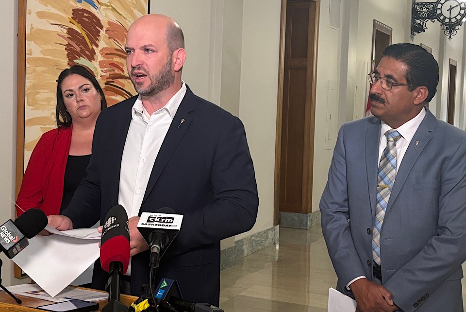 ndp-mlas