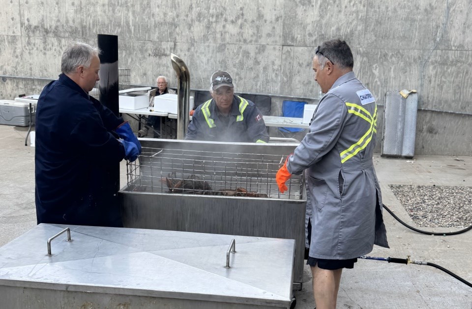 rotary-lobsterfest-2025-2