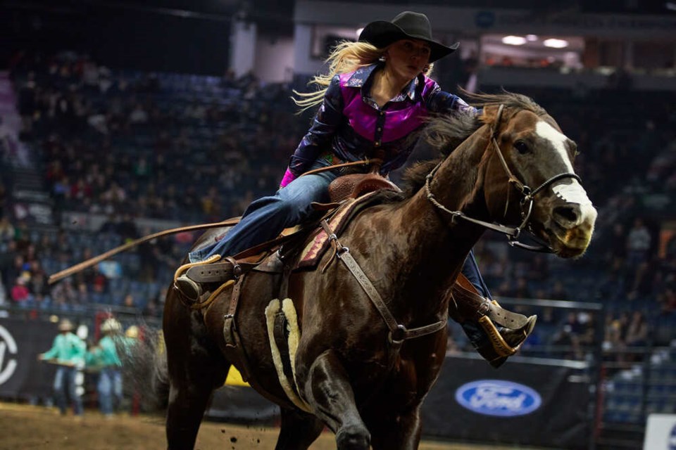 canadian-western-agribition-horse