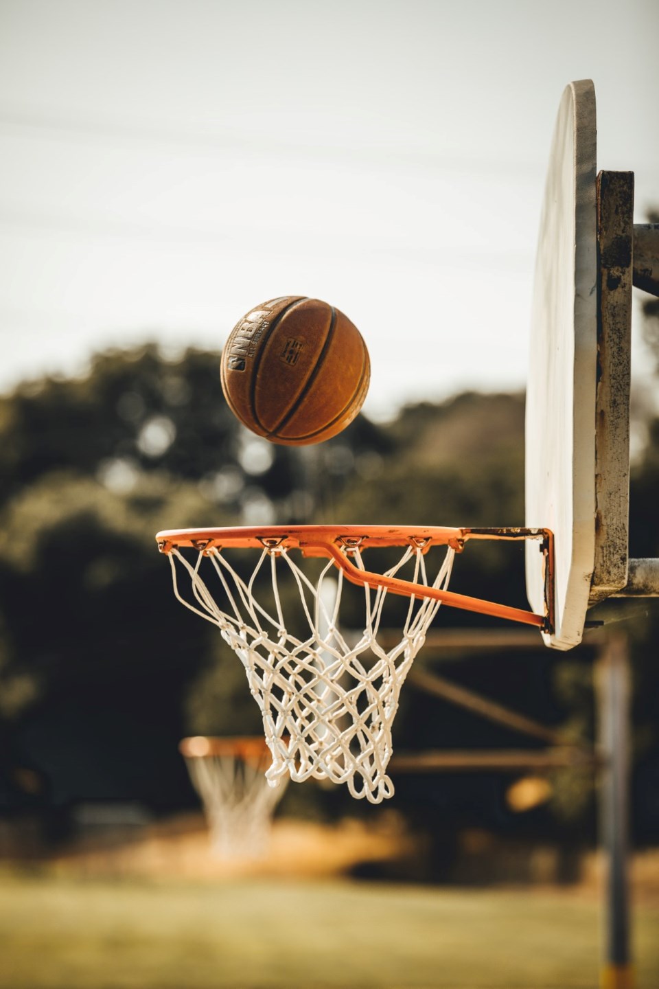 basketballhoop0223