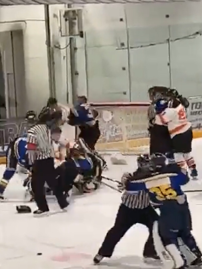 Blues Tigers brawl