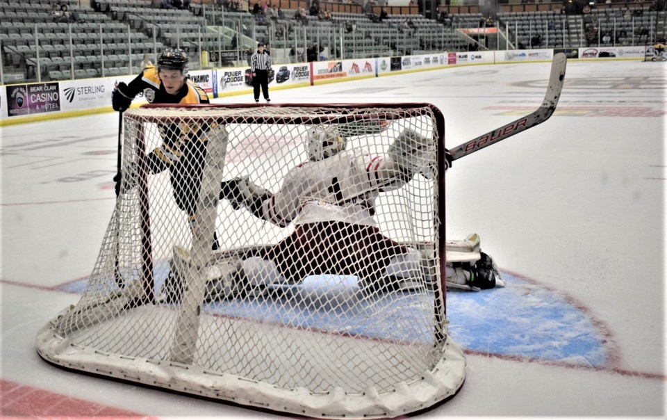 bruins-hounds-2023-24-preseason-pic