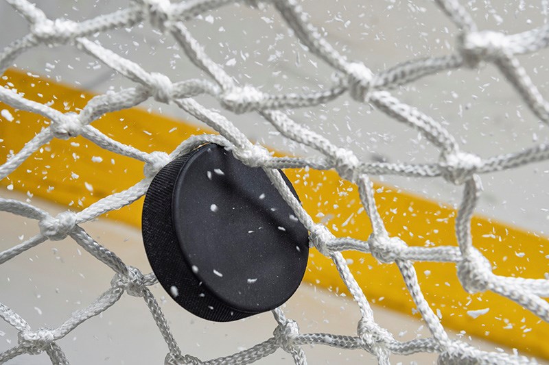 puck and net