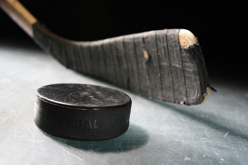 puck and stick blade