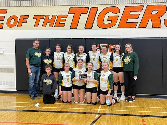Carlyle Cougars senior girls volleyball