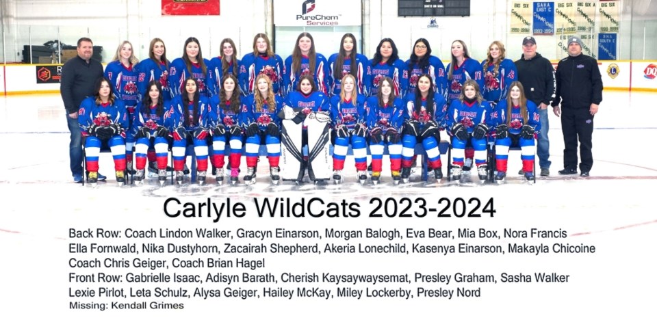 carlyle-wildcats-2023-24
