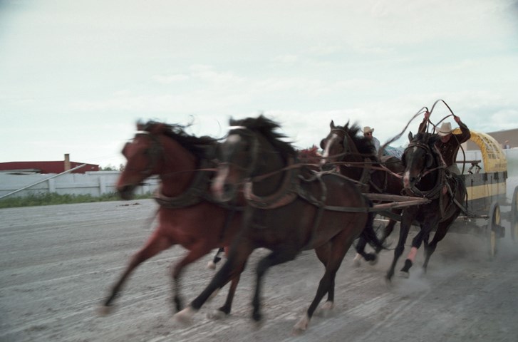 chuckwagon racing