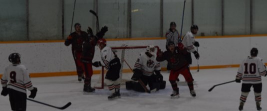 Ryley Stefanyshyn of Canora (right of net, dark jersey) and his teammates celebrated scoring this power play goal against Swan Valley, one of four goals for the Cobras’ captain over the weekend.