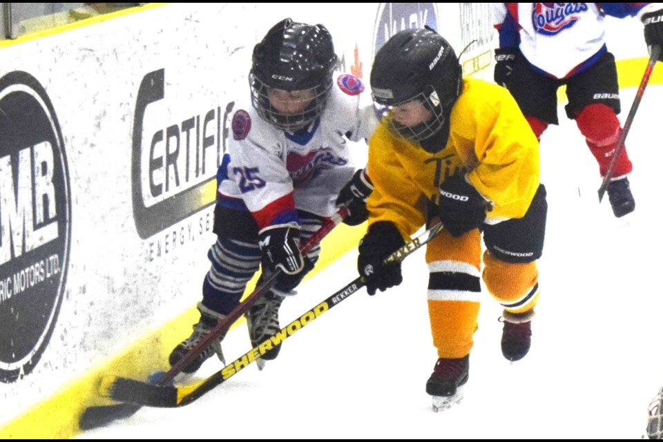 The Estevan Minor Hockey Association's U7 tournament.