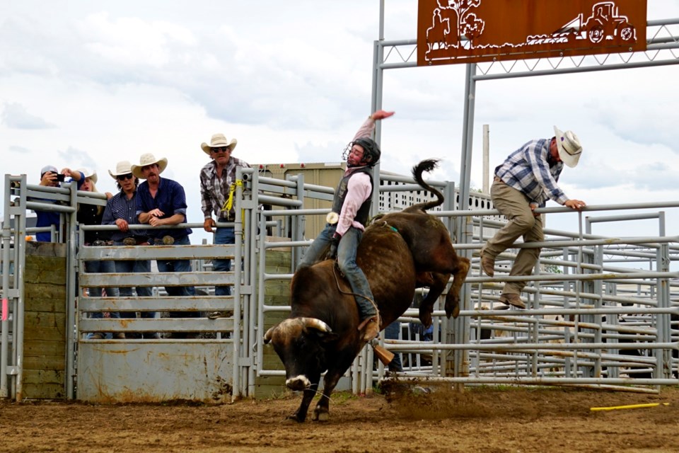 Travan Bevan of Carievale was the 2022 Energy City Ex bull riding champion.                                