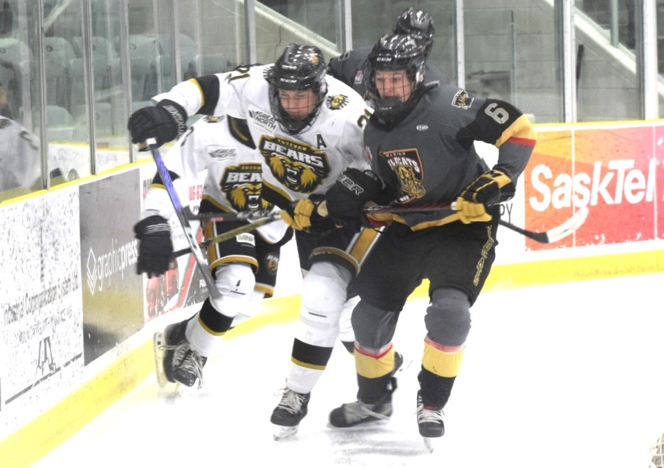 estevan-bears-warman-nov-2023