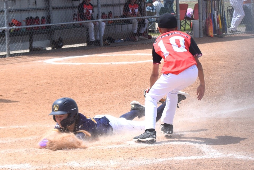 estevan-brewers-u11-aaas
