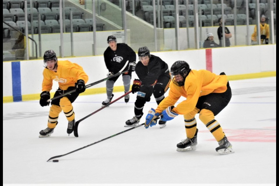 The Estevan Bruins hosted their annual fall camp on Saturday and Sunday. 