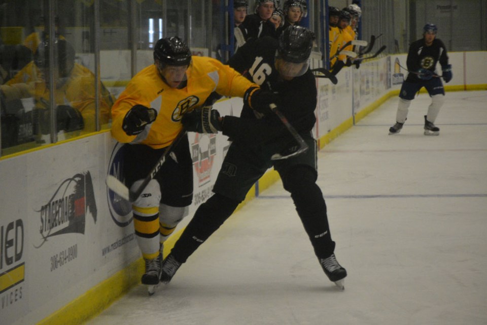 Estevan Bruins pic