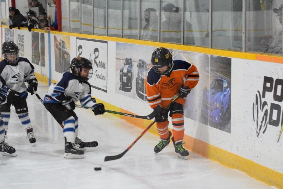 estevan-novice-hockey-oilers