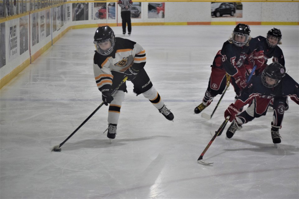 estevan-u11-aa-bruins