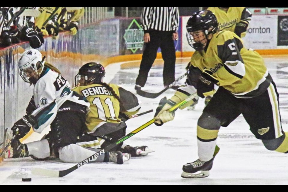 Gold Wings player Sydney Dauvin grabbed the puck after her teammate Ashton Bender was taken down by a Battlefords player, in the Gold Wings win on Sunday afternoon.