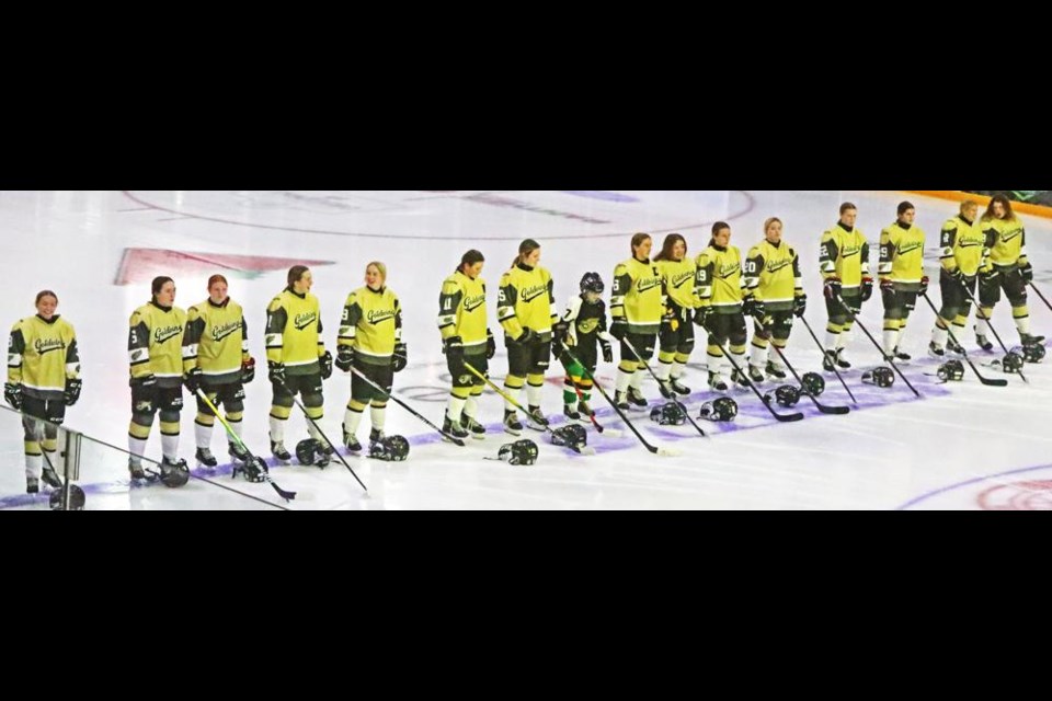 The Richardson Pioneer Gold Wings were introduced at their season home opener on Saturday evening at Crescent Point Place.