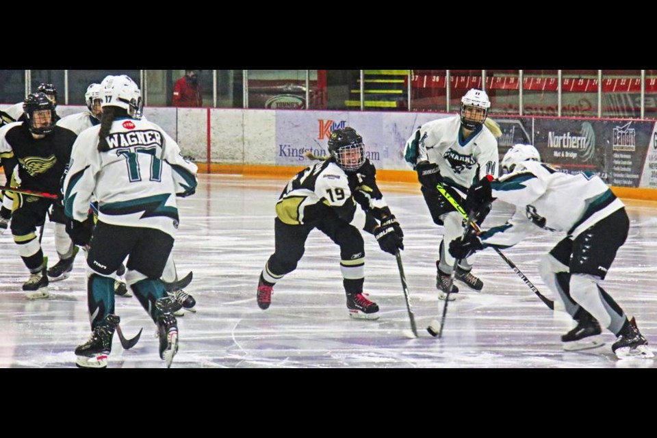 Gold Wings player Rilynn Dobson tried to get the puck as a Battleford Shark got ready to pass it to a teammate, during Saturday night's game.