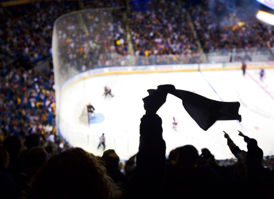 Hockey arena crowd