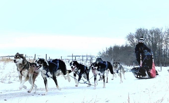 Dog sled racers from Unity are inspiring young people to take up the sport.