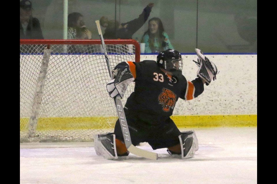 Goaltending continues to be a strong point in the SWHL this year. (File photo)