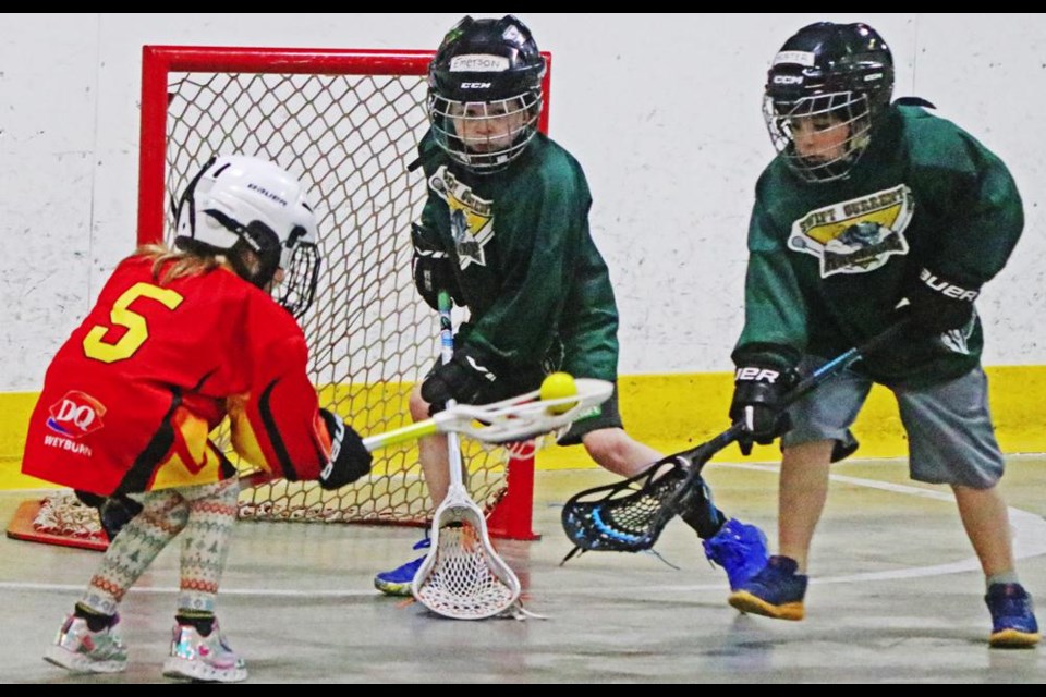 A Weyburn Thrashers player (in red) tried not to lose the ball as a Regina player tried stealing it, during the U7 lacrosse tournament on Saturday.