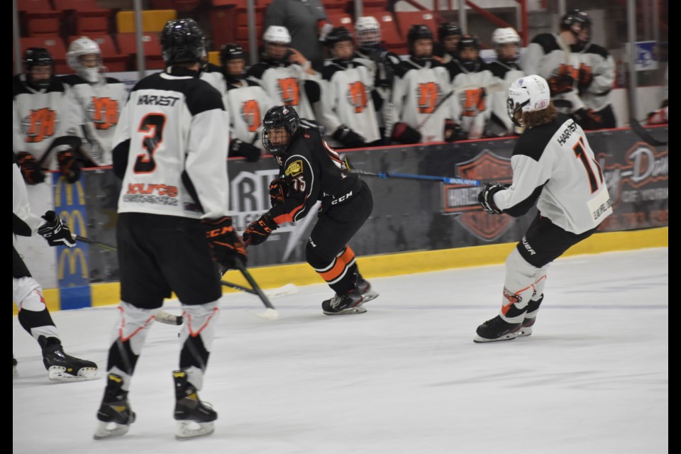 Mauler hopefuls were put through their paces at the Westland Arena.