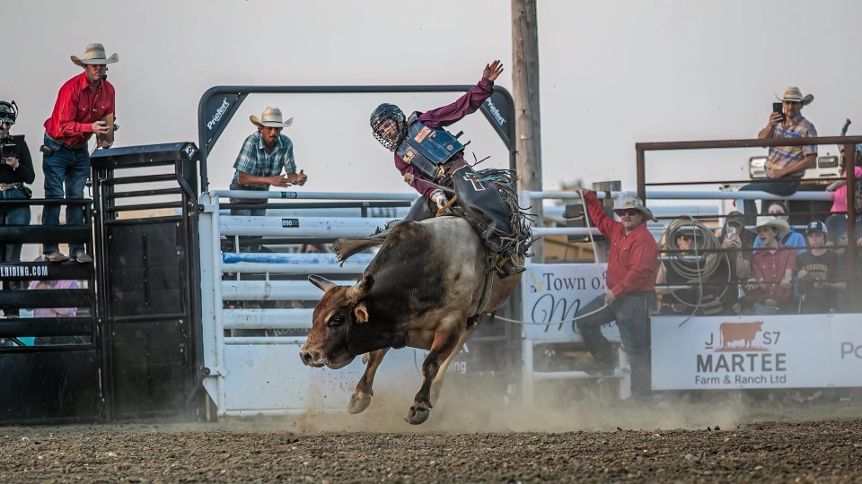 midale-bull-riding-pic
