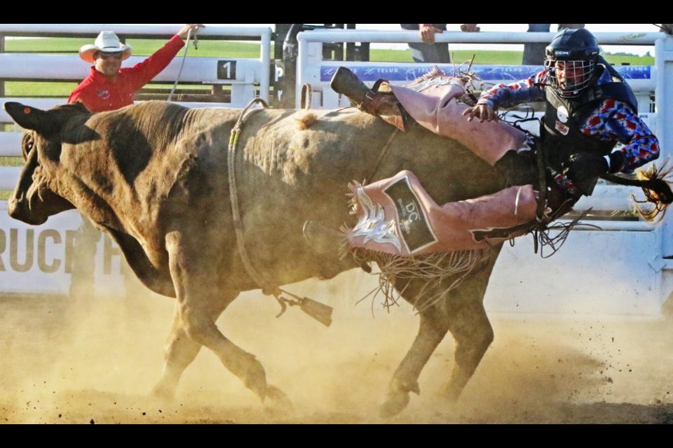 Bull rider Tyson Thue of Ceylon was bucked off before the eight-second buzzer at the Midale Bull Bash on Friday.