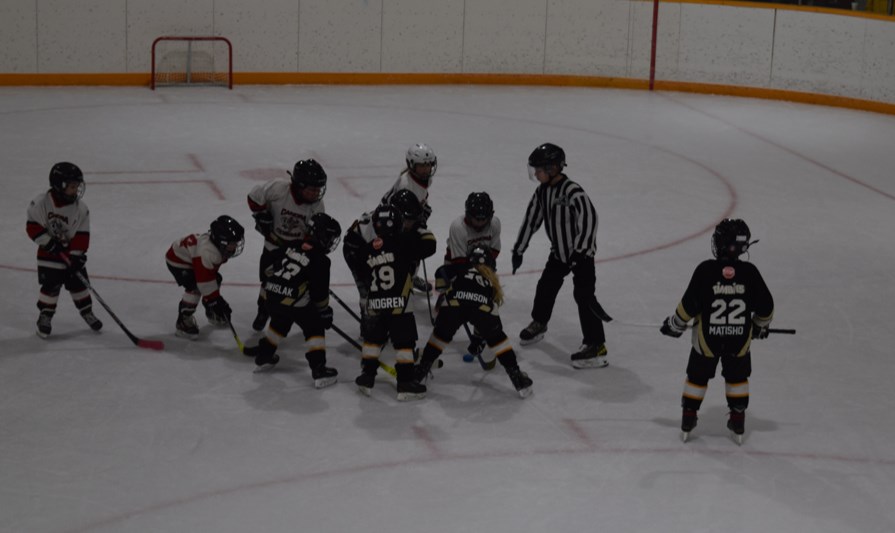 Minor Hockey AGM