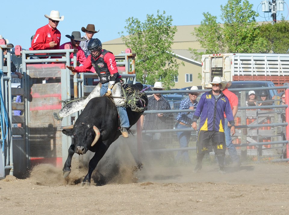 Moose Mountain Pro-Rodeo