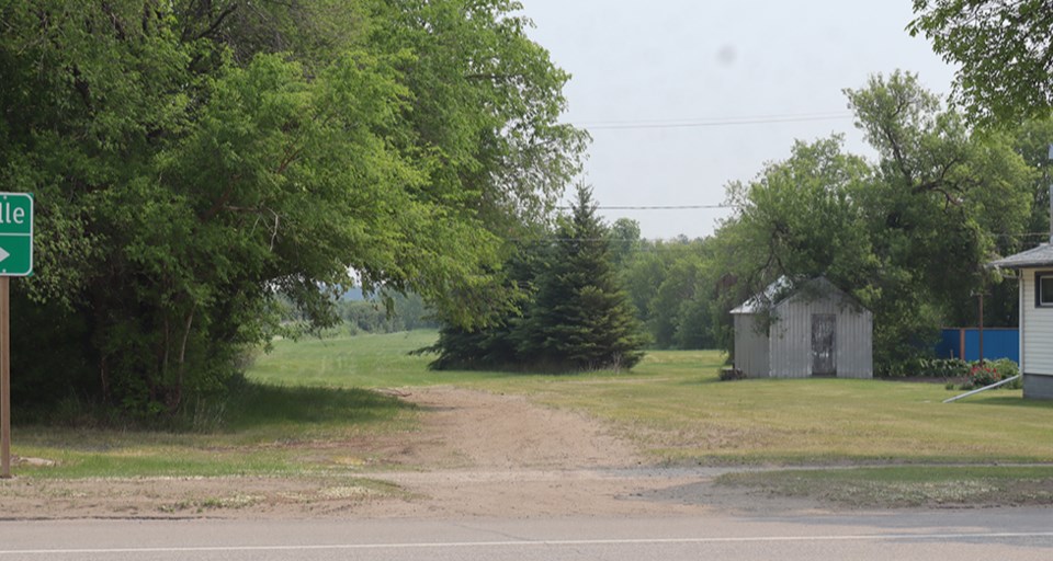 new-dog-park