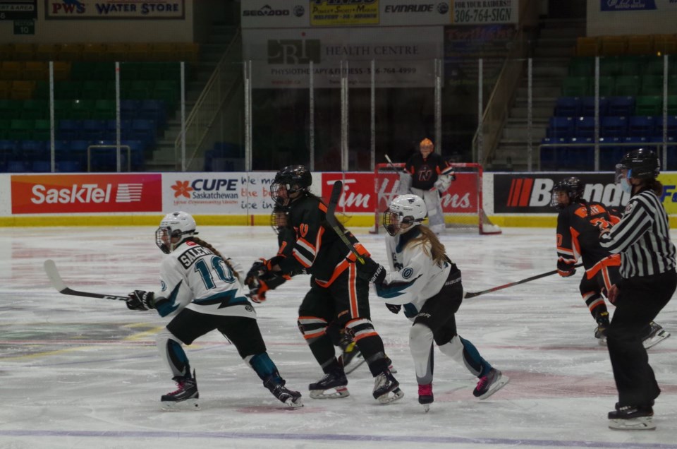 NW Sharks SALEWSKI FR WILKIE