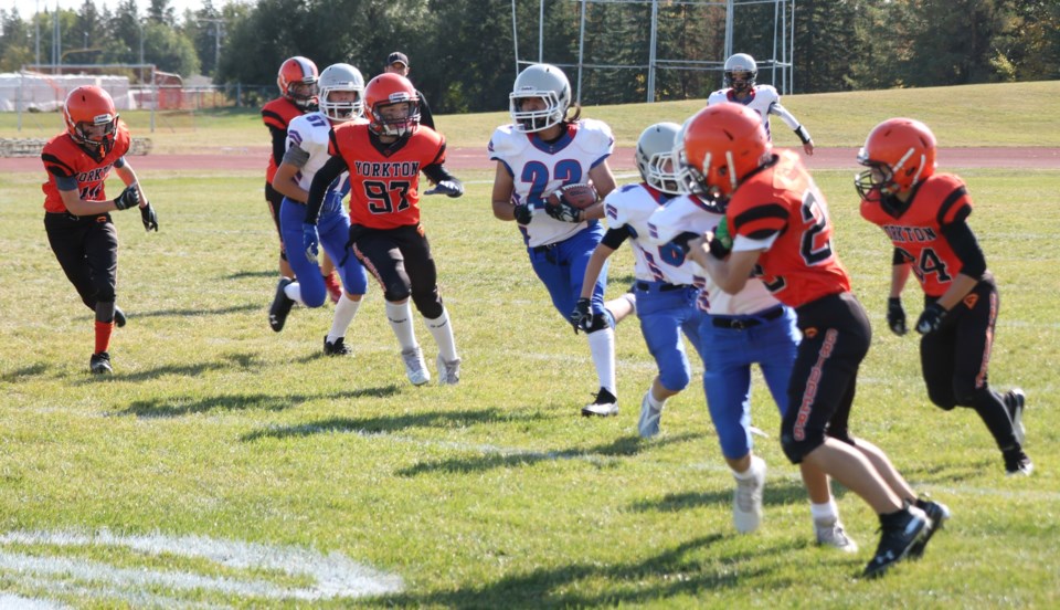 peewee raiders 1