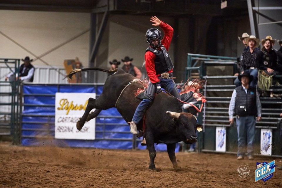 piper-stoughton-bull-rider