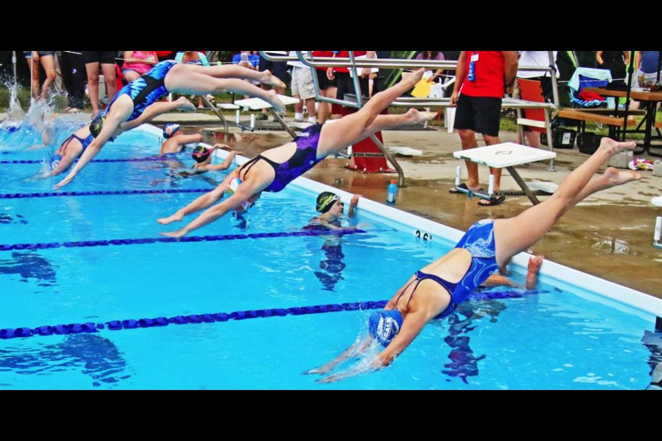 Silver Seals swimmers Lily Popescue (the closest swimmer) and Tamberly Kreger, second from far end, dove in to start the girls 13-14 100m freestyle race at the provincial swim meet on Saturday.