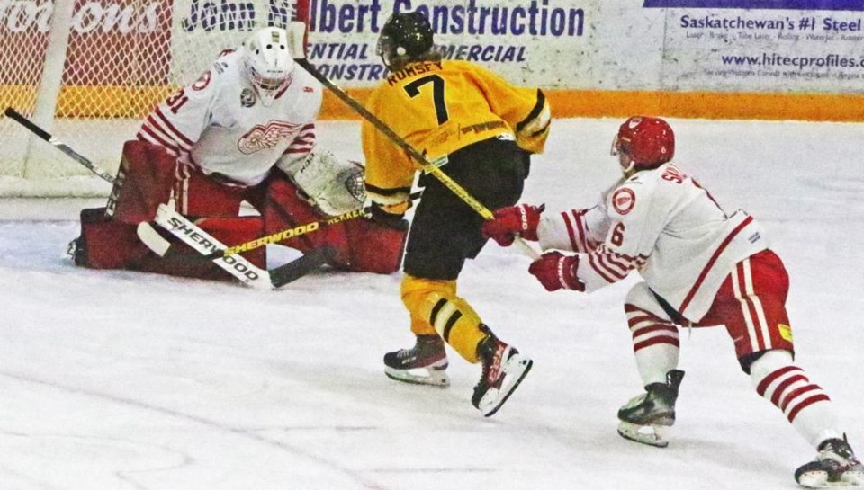 Red Wings-1884