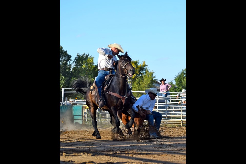 The Estevan Exhibition Association KCRA Rodeo saw Matt Pick of Rosetown wrestling steer and competing in other disciplines