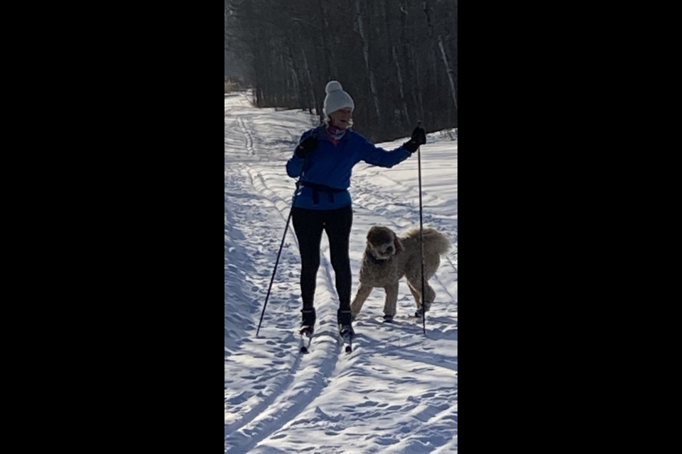 The Good Spirit Cross Country Ski Club is reporting that cross-country ski trails are attracting more and more skiers each year. In this photo, Anne Stupak is enjoying a run with her dog Hootch.