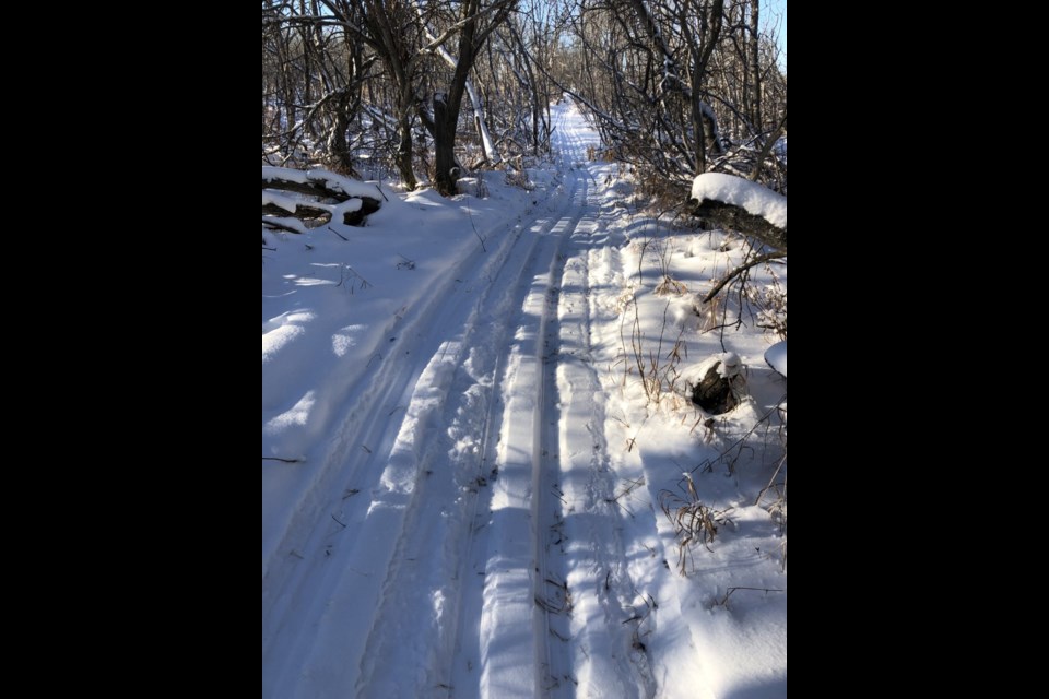 Fresh air, the great outdoors and a chance encounter with wildlife are some of what the cross-country ski trail at Luseland provides.