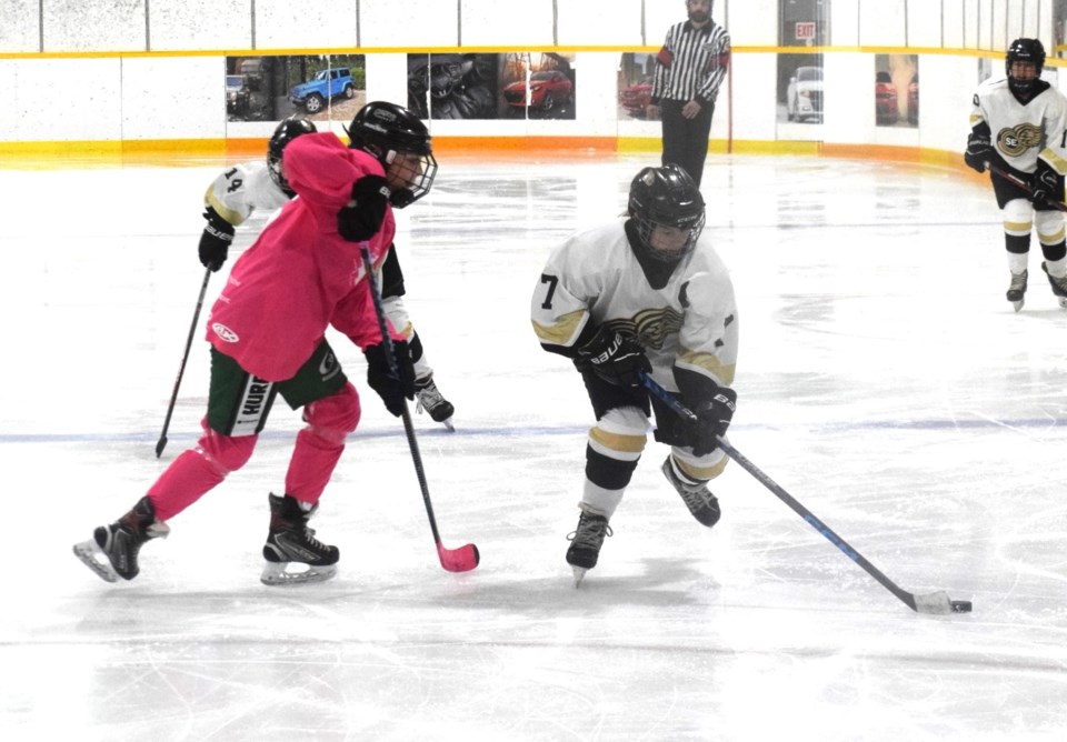 southeast-u13-aa-gold-wings-estevan-2023