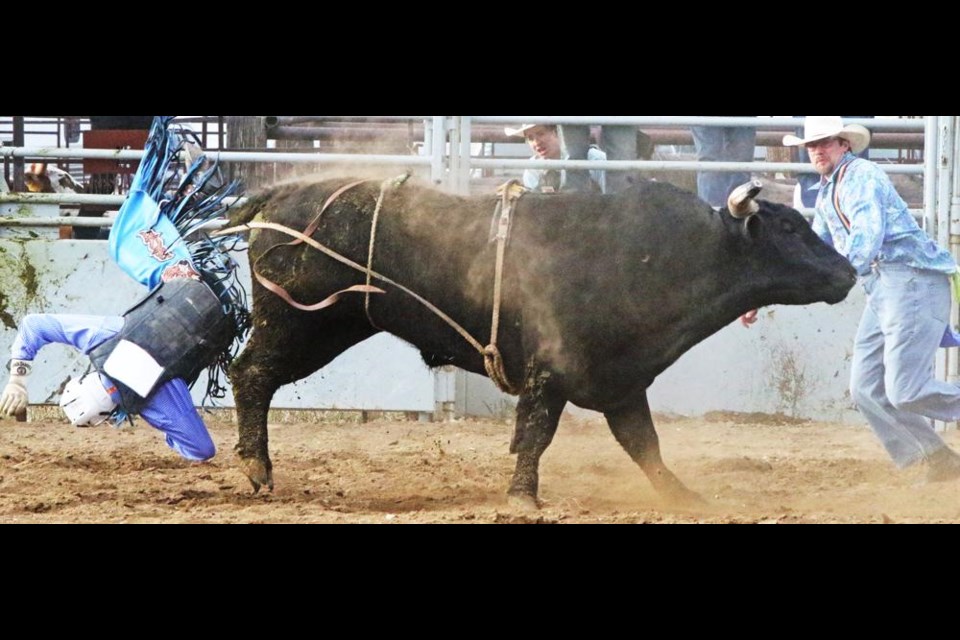 Senior bull-rider Grady Young of Tyvan had a good ride, but he was bucked off before the eight-second buzzer came, so he had to take no time